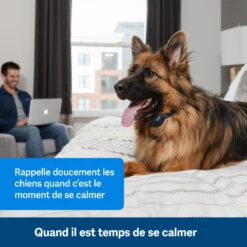 PetSafe ANTI ABOIEMENT SONORE RECHARGEABLE -Matériel De Camping anti aboiement sonore rechargeable 2