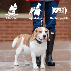 PetSafe ANTI ABOIEMENT SONORE RECHARGEABLE -Matériel De Camping anti aboiement sonore rechargeable 3