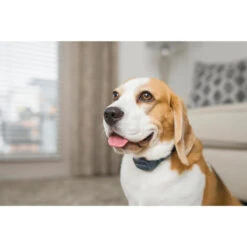 PetSafe ANTI ABOIEMENT SONORE RECHARGEABLE -Matériel De Camping anti aboiement sonore rechargeable 6