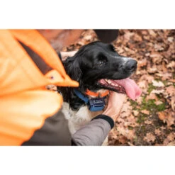 Collier Anti-aboiement Pour Chien Num'axes Canicalm Premium 7 Collier Anti-aboiement Pour Chien Num'axes Canicalm Premium -Matériel De Camping collier anti aboiement pour chien numaxes canicalm premium 2