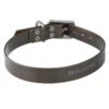 Collier Chien Noir 500 -Matériel De Camping collier chien noir 500
