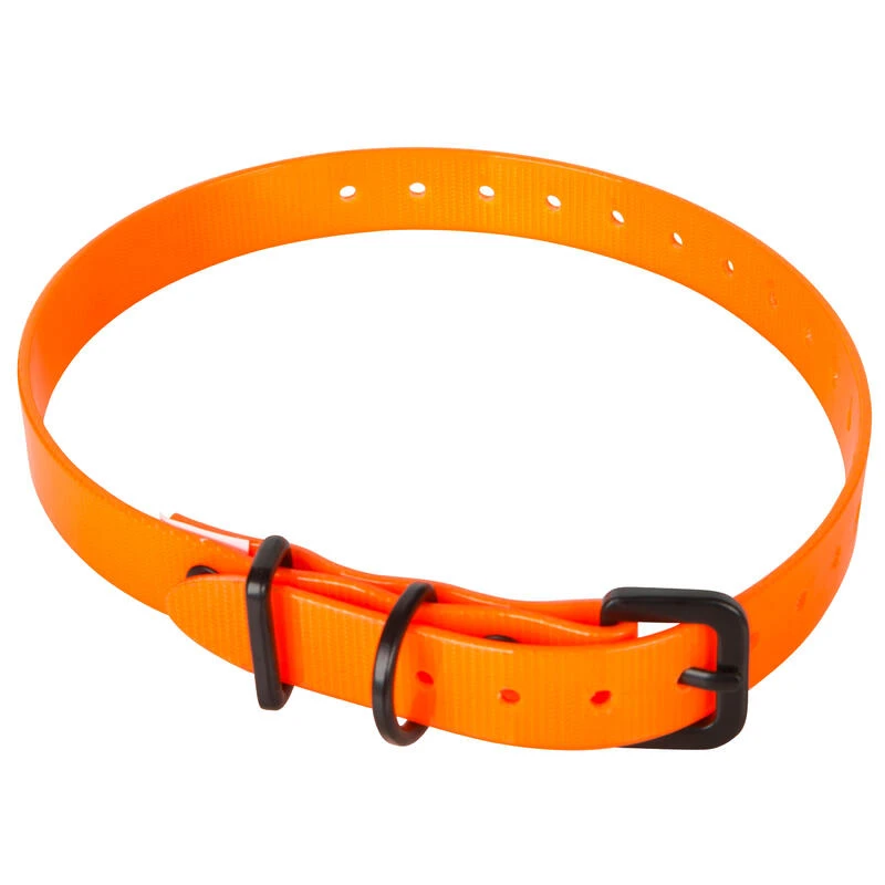 Collier Chien Orange Fluo 500 5 Collier Chien Orange Fluo 500 – Image 3