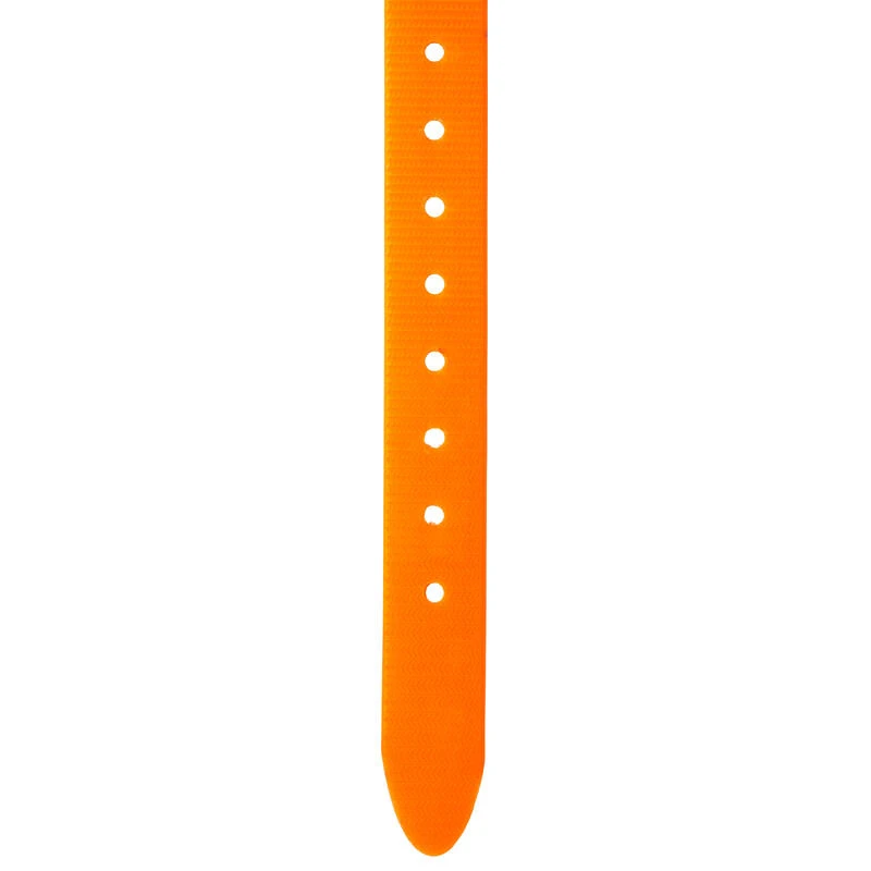 Collier Chien Orange Fluo 500 7 Collier Chien Orange Fluo 500 – Image 5