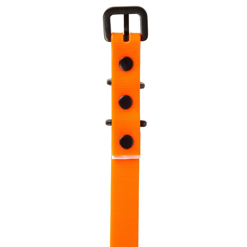 Collier Chien Orange Fluo 500 9 Collier Chien Orange Fluo 500 – Image 7