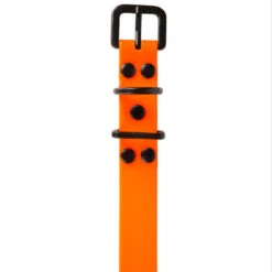 Collier Chien Orange Fluo 500 17 Collier Chien Orange Fluo 500 -Matériel De Camping collier chien orange fluo 500 7