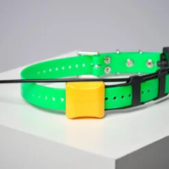 COLLIER SUPPLEMENTAIRE REPERAGE & DRESSAGE DOGTRA PATHFINDER V2. -Matériel De Camping collier supplementaire reperage and dressage dogtra pathfinder v2 6