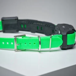 Collier Supplémentaire Repérage Et Dressage Pour Chien Dogtra Pathfinder -Matériel De Camping collier supplementaire reperage et dressage pour chien dogtra pathfinder 2