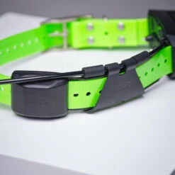 Collier Supplémentaire Repérage Et Dressage Pour Chien Garmin TT15X 15 Collier Supplémentaire Repérage Et Dressage Pour Chien Garmin TT15X -Matériel De Camping collier supplementaire reperage et dressage pour chien garmin tt15x 5