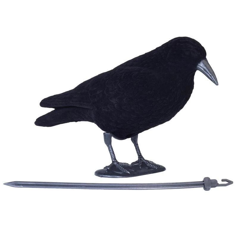 FORME CORBEAU FLOQUE 4 FORME CORBEAU FLOQUE – Image 2