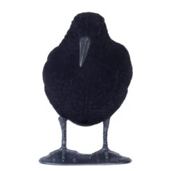 FORME CORBEAU FLOQUE 11 FORME CORBEAU FLOQUE -Matériel De Camping forme corbeau floque 2