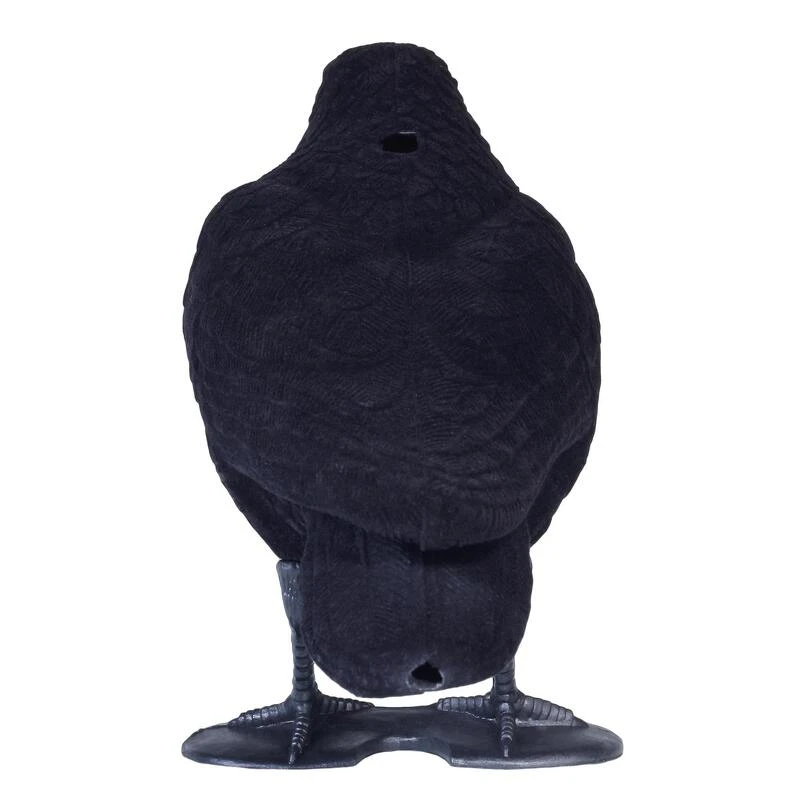 FORME CORBEAU FLOQUE 6 FORME CORBEAU FLOQUE – Image 4