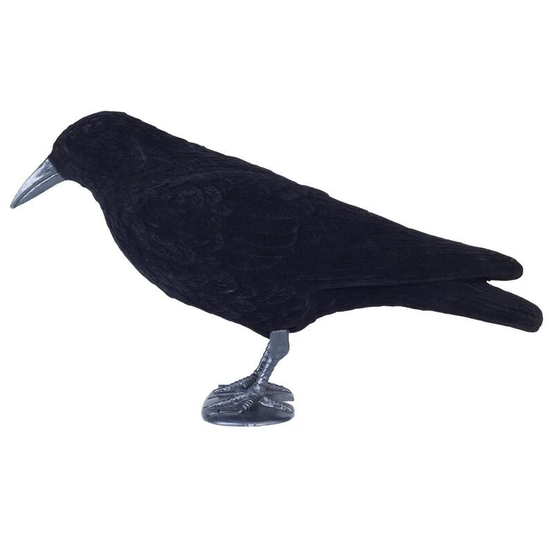 FORME CORBEAU FLOQUE 7 FORME CORBEAU FLOQUE – Image 5