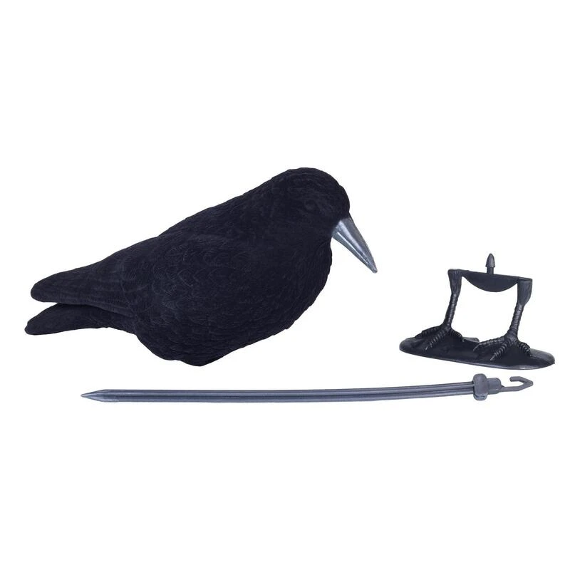 FORME CORBEAU FLOQUE 9 FORME CORBEAU FLOQUE – Image 7