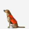 Gilet De Protection Pour Chien Supertrack 1 Gilet De Protection Pour Chien Supertrack -Matériel De Camping gilet de protection pour chien supertrack