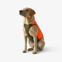 Gilet De Protection Pour Chien Supertrack -Matériel De Camping gilet de protection pour chien supertrack 3