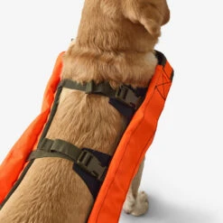 Gilet De Protection Pour Chien Supertrack -Matériel De Camping gilet de protection pour chien supertrack 4