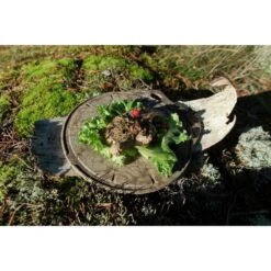 Kupilka Kaarna M - Planche à Découper-Original (Marron) -Matériel De Camping kupilka kaarna m planche a decouper original marron 2