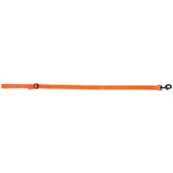 Laisse Chien Orange 100 -Matériel De Camping laisse chien orange 100 2