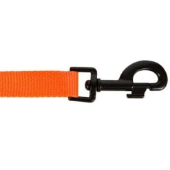 Laisse Chien Orange 100 -Matériel De Camping laisse chien orange 100 5