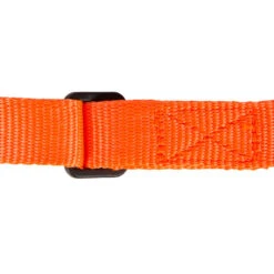 Laisse Chien Orange 100 -Matériel De Camping laisse chien orange 100 6