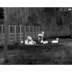 HikMicro Monoculaire De Vision Thermique Hik Micro Lynx Pro LE10 19 HikMicro Monoculaire De Vision Thermique Hik Micro Lynx Pro LE10 -Matériel De Camping monoculaire de vision thermique hik micro lynx pro le10 7