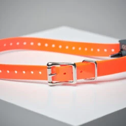 Pack Collier + Télécommande De Dressage Pour Chien Sportdog SD-875 -Matériel De Camping pack collier telecommande de dressage pour chien sportdog sd 875 1