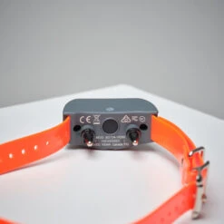 Pack Collier + Télécommande De Dressage Pour Chien Sportdog SD-875 -Matériel De Camping pack collier telecommande de dressage pour chien sportdog sd 875 2