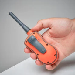 Pack Collier + Télécommande De Dressage Pour Chien Sportdog SD-875 -Matériel De Camping pack collier telecommande de dressage pour chien sportdog sd 875 6