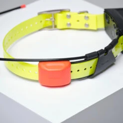 PACK COLLIER + TÉLÉCOMMANDE DE REPÉRAGE/DRESSAGE CHIEN GARMIN ALPHA 200 T5X -Matériel De Camping pack collier telecommande de reperagedressage chien garmin alpha 200 t5x 7