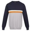 Regatta Pull KAELEN Homme (Bleu Marine / Gris Orage)