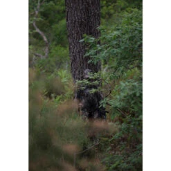 VESTE FEMME CHASSE SILENCIEUSE RESPIRANTE CAMOUFLAGE 500 -Matériel De Camping veste femme chasse silencieuse respirante camouflage 500 5